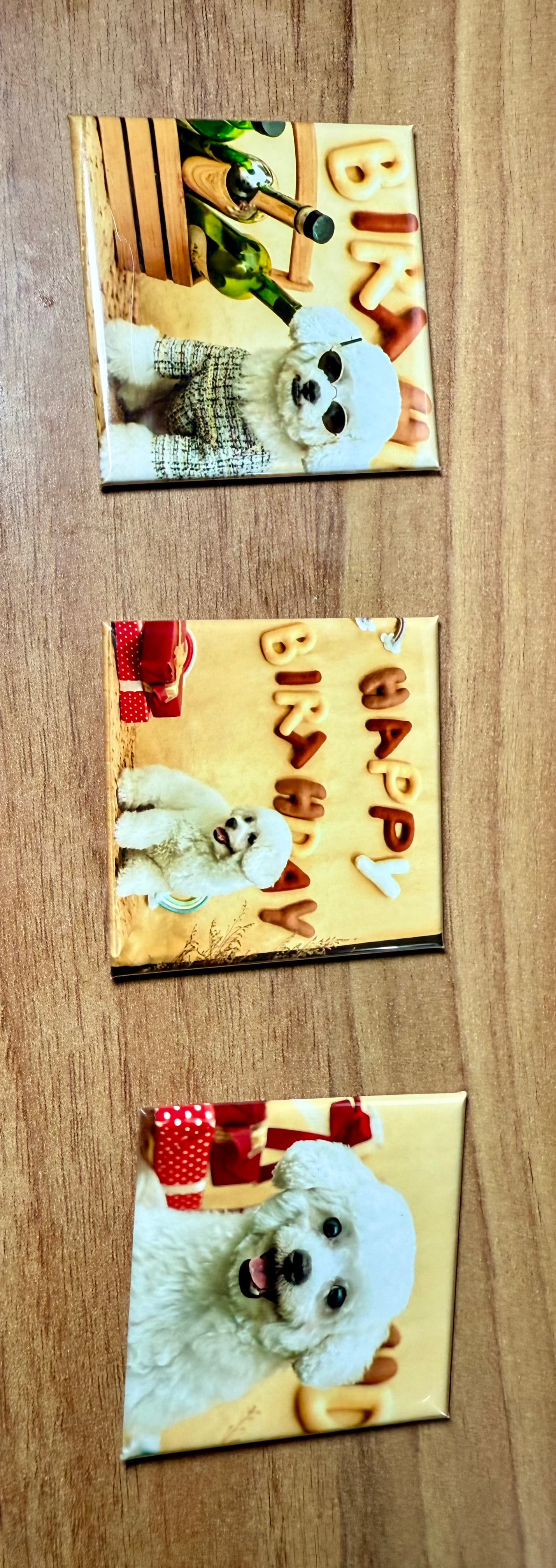 Custom Photo Magnets (Set of 3)