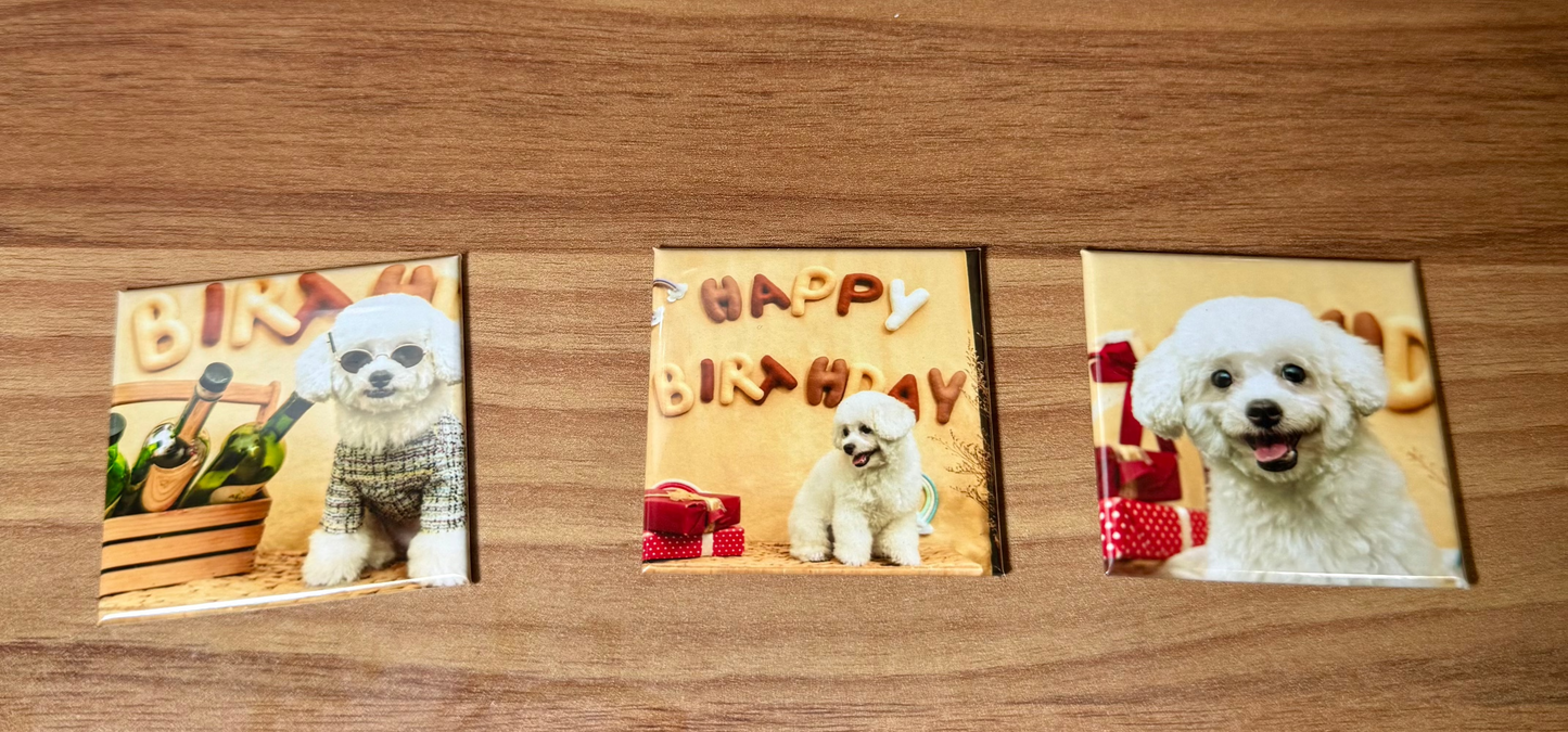 Custom Photo Magnets (Set of 3)