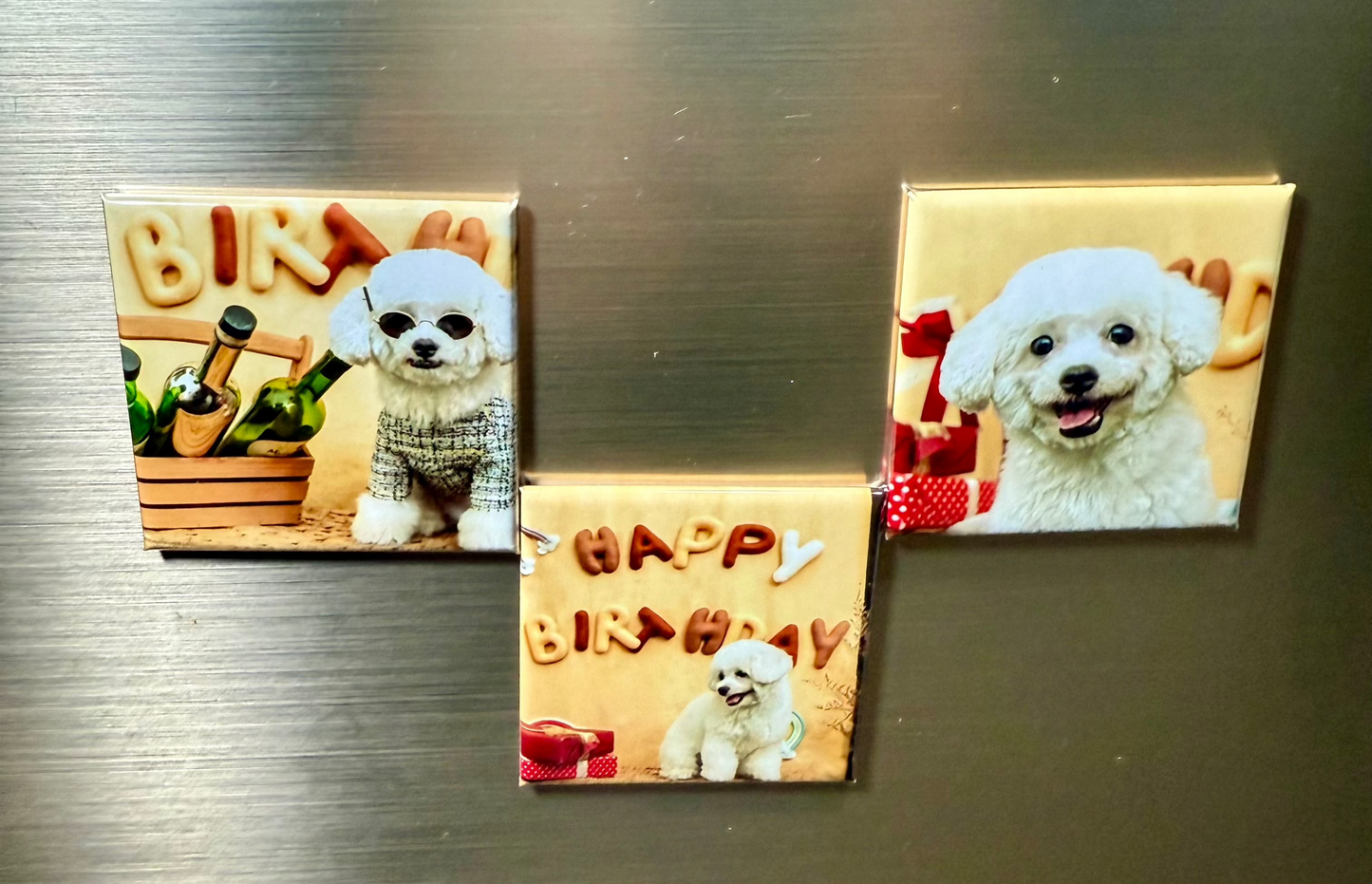 Custom Photo Magnets (Set of 3)