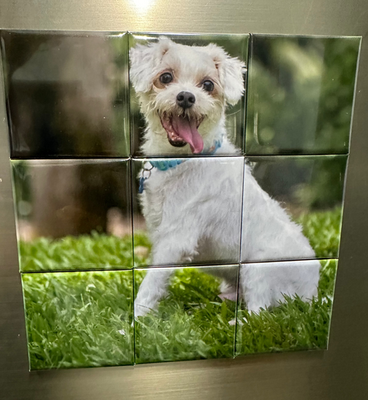 Custom Photo Magnets ( Puzzle )