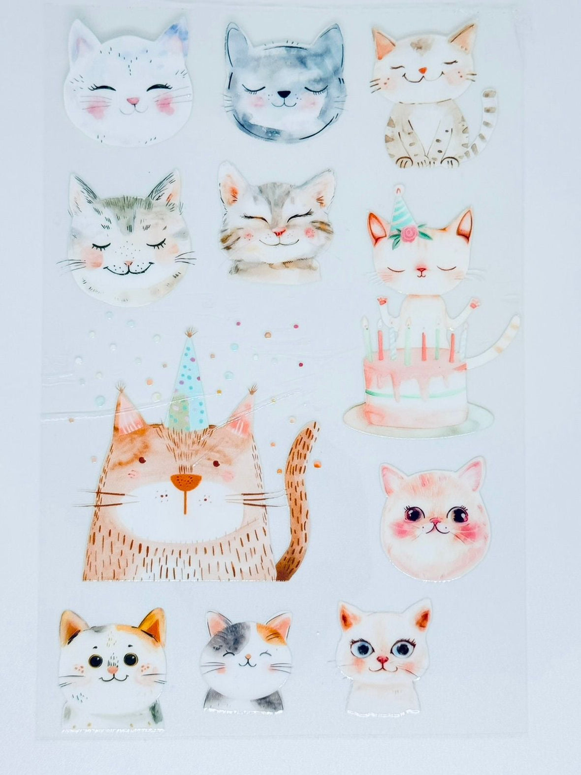 [CAT STICKERS] UV Premium Stickers/Decals